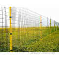 ПВХ покрыт евро -проволочную сетку забор зеленый цвет